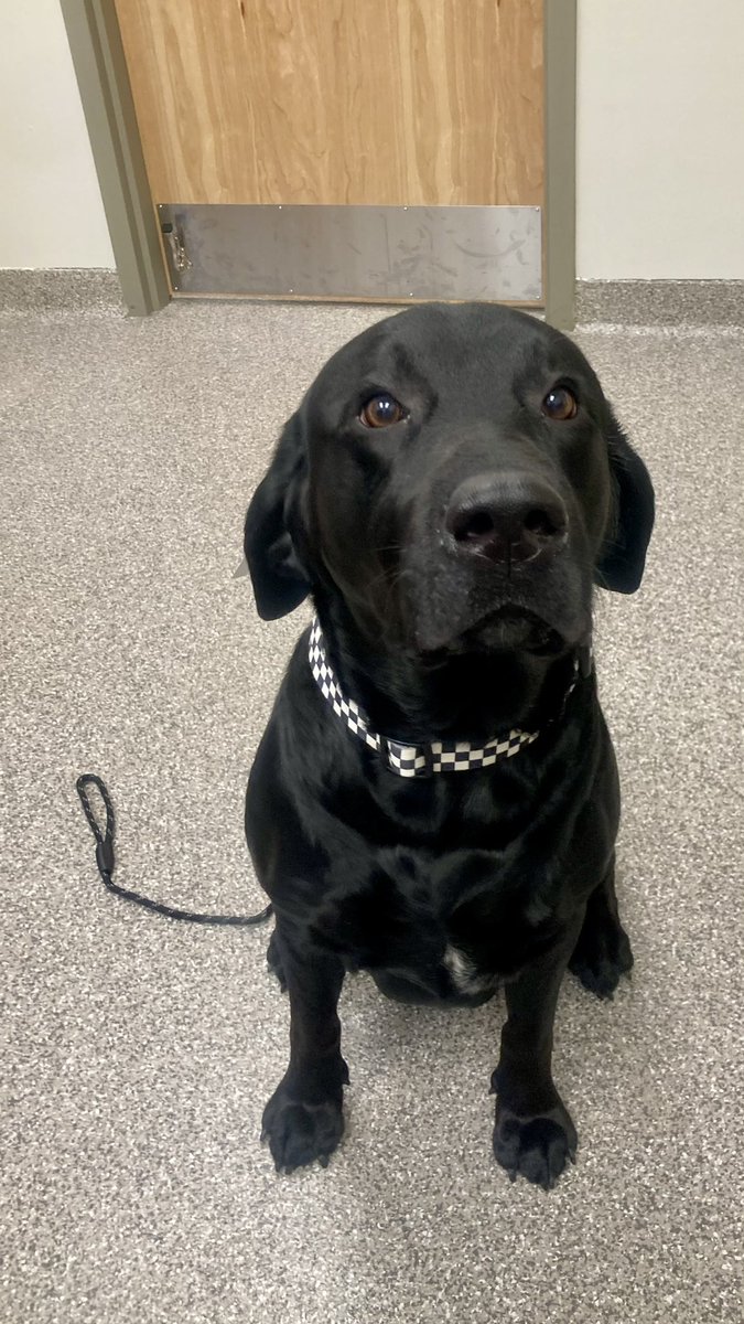 Spay Spa&Neuter Nook tweet media