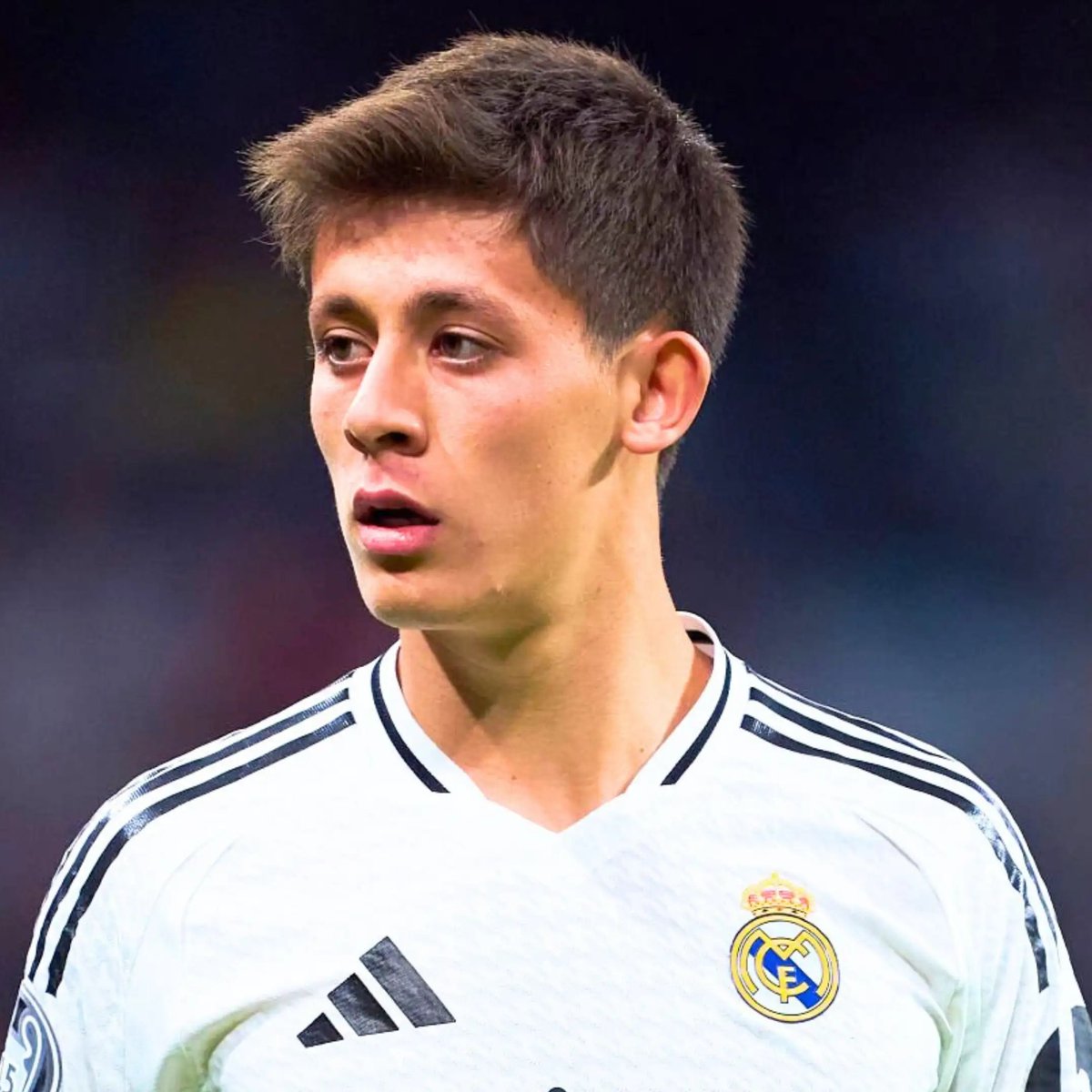 Pusholder tweet media