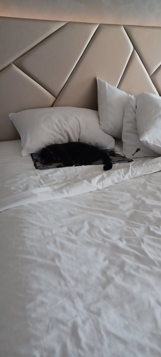 🌊PERSISTING ₩ITH RESISTING tweet media