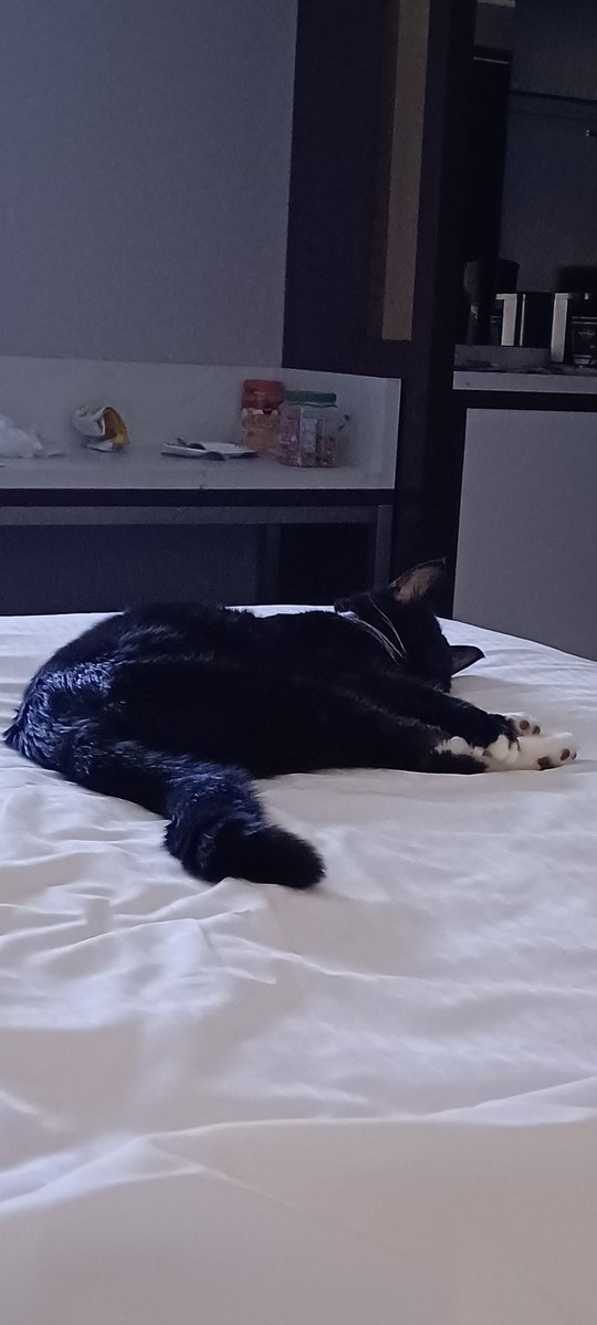 🌊PERSISTING ₩ITH RESISTING tweet media