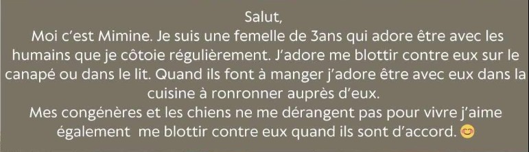 Missing Animaux 81 tweet media