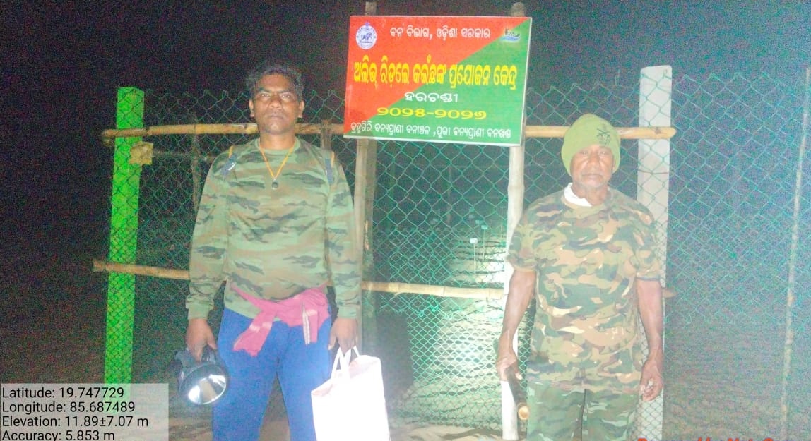 dfopuriwl's tweet image. This heartwarming spectacle shows the tiny hatchlings of #Olive Ridley Sea Turtles from hatcheries instinctively making their way to the sea #Conservation #TurtleNesting @CMO_Odisha @ForestDeptt @GaneshRamBJP @SecyChief @pccfodisha @PCCFWL_Odisha @moefcc @RccfBhubaneswar @dm_puri
