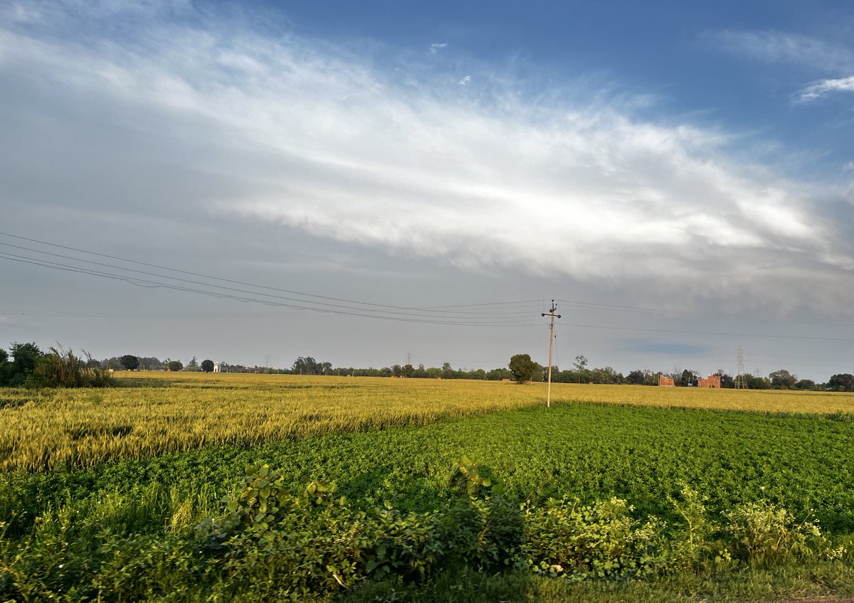 will_slappin_smith tweet media