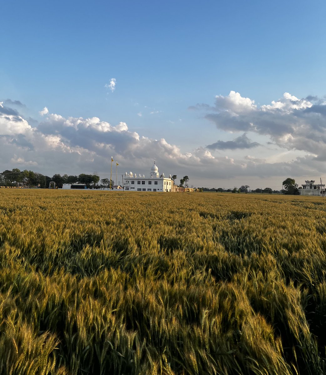 will_slappin_smith tweet media