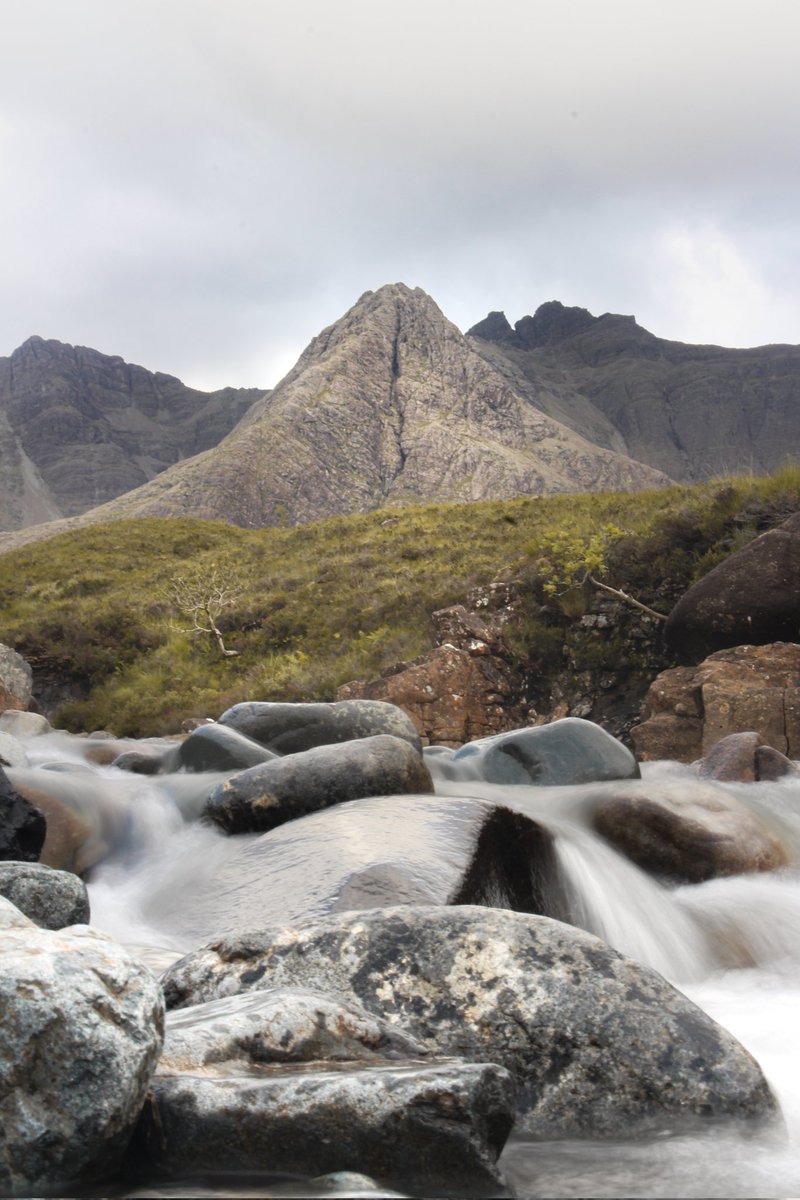 skye loves charisma tweet media