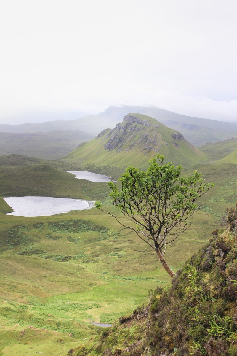 skye loves charisma tweet media