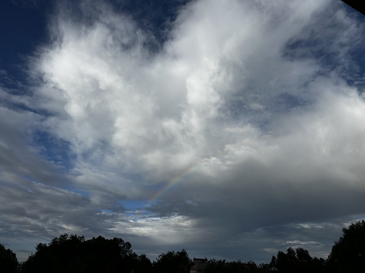 Limoune 🎗 tweet media