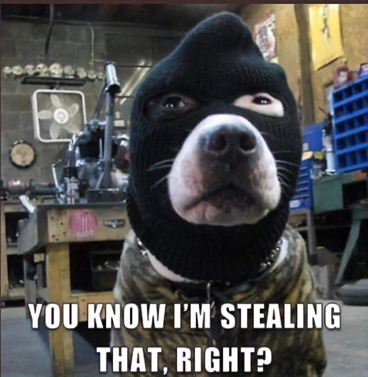 Ray Sharradh tweet media