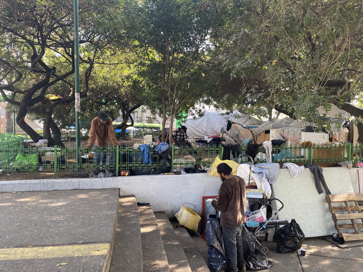 whitespider tweet media