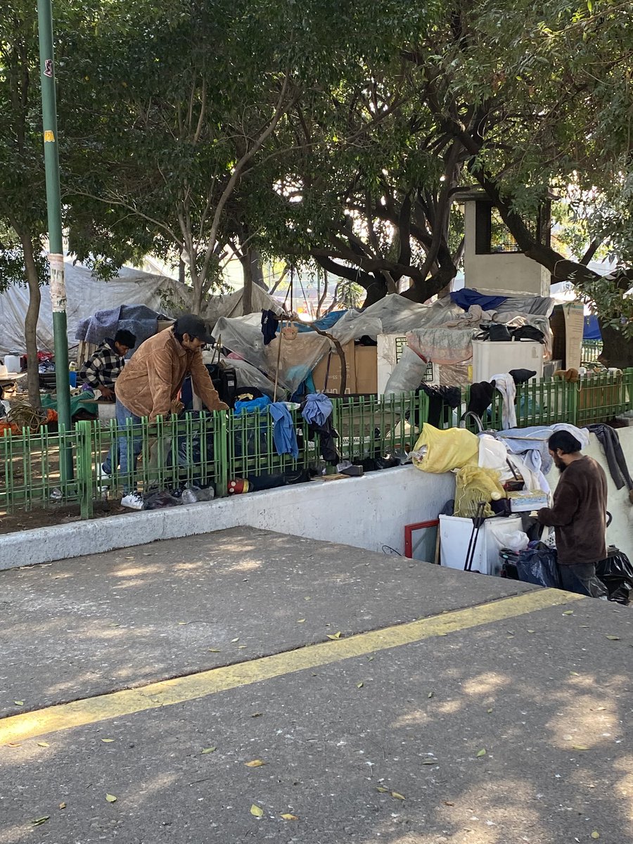 whitespider tweet media