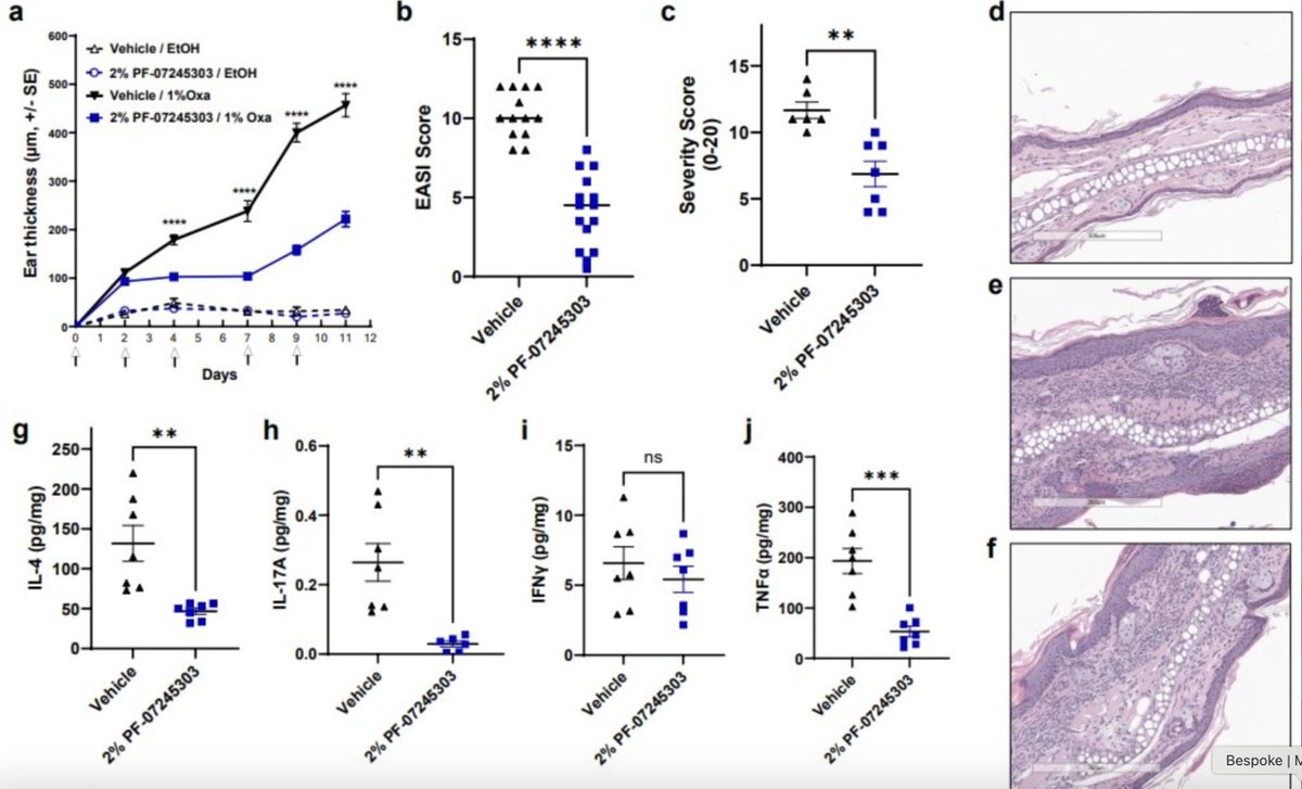 In Honour Of Thomas W Phelps tweet media