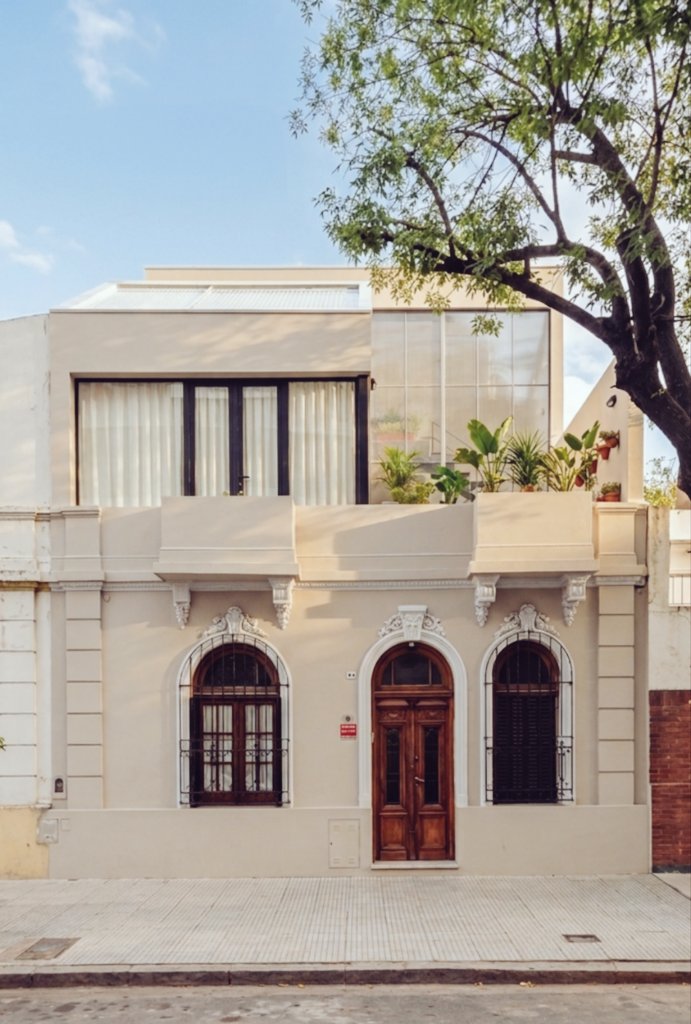 Bauhasaurus tweet media