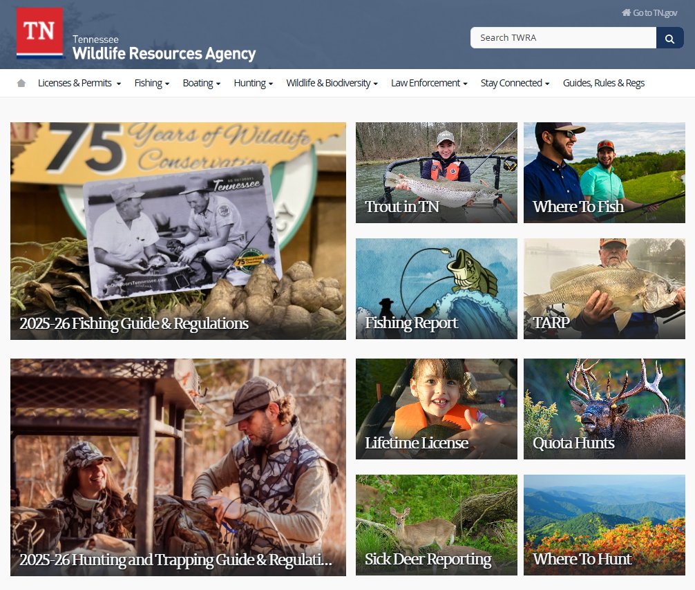 Jerry Curlan tweet media