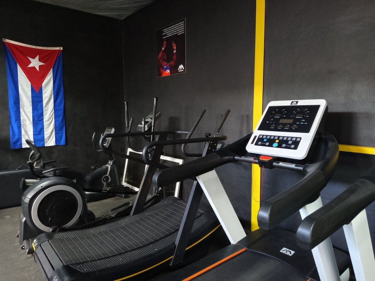 Guillermo Rodríguez Gato tweet media