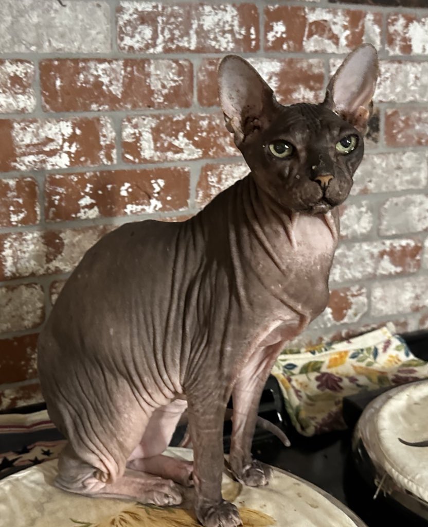 its all going to be ok.. Maybe! tweet media