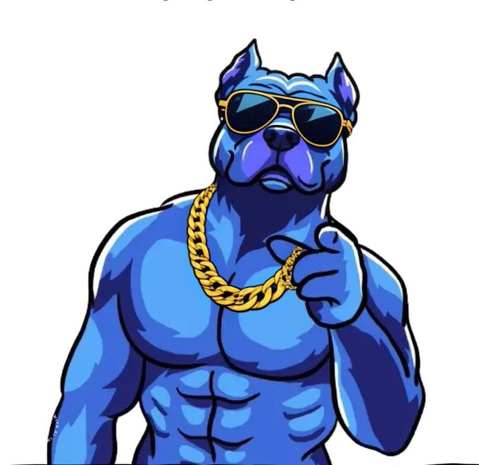 chillnshill99's tweet photo. @baseposting big dog https://t.co/VEqOxecHsl