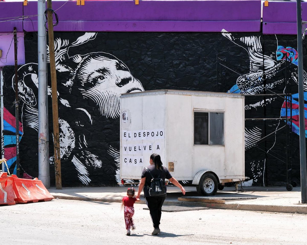 Hackaranda en flor tweet media