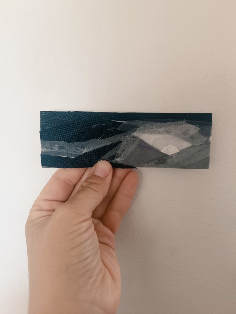 Conshelalora tweet media