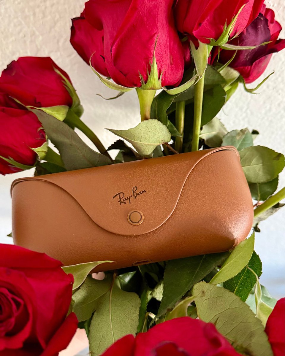 The Collection tweet media