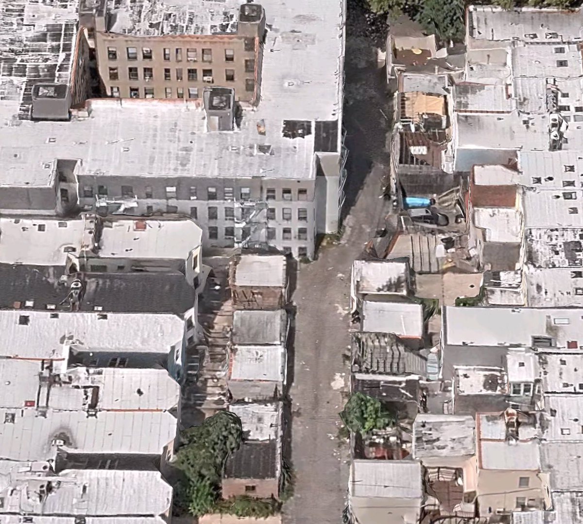 Reliable Brain 🇺🇸 tweet media