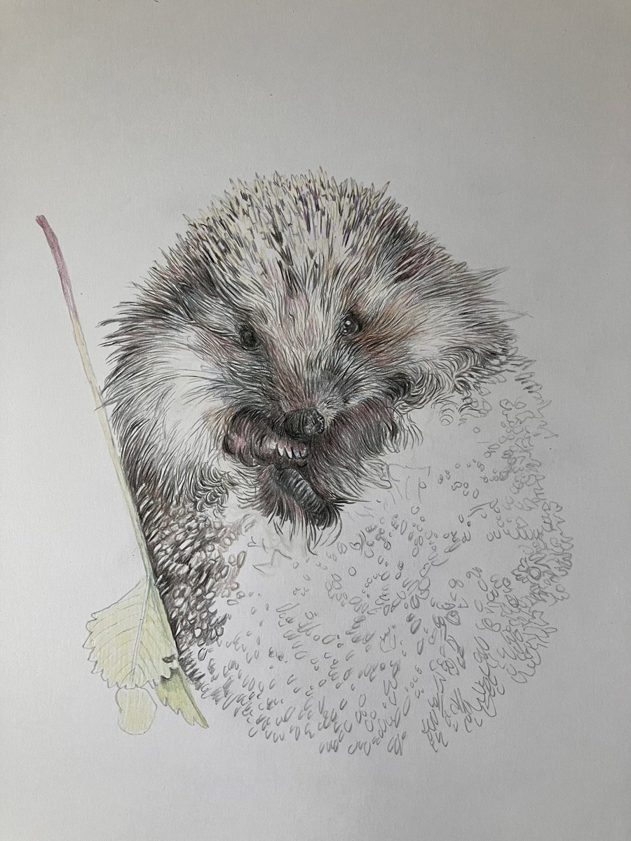 Lisa Wellwood Artist tweet media