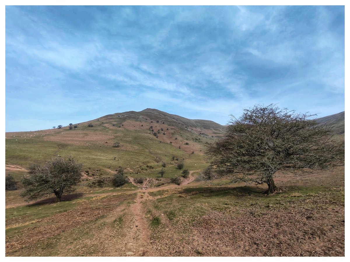 Martin Whittaker tweet media