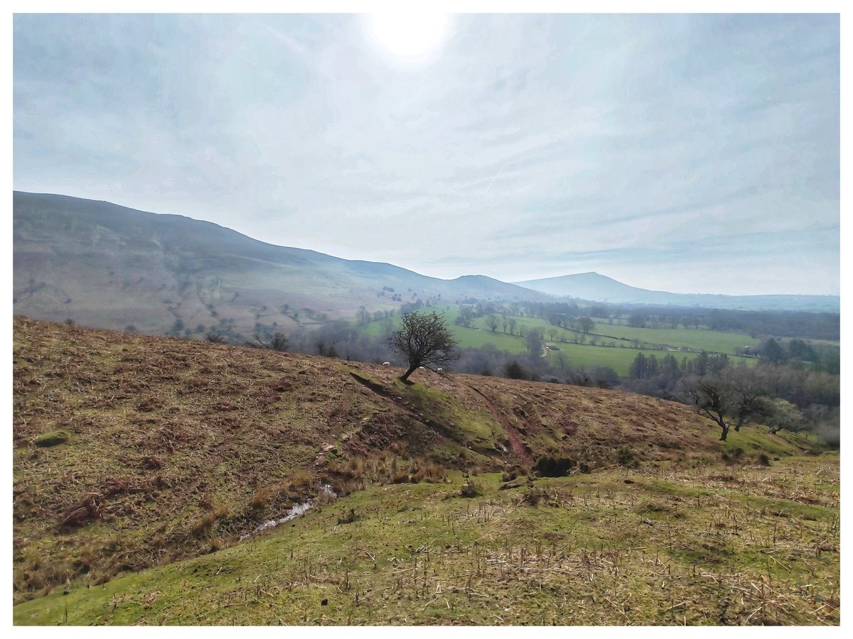 Martin Whittaker tweet media