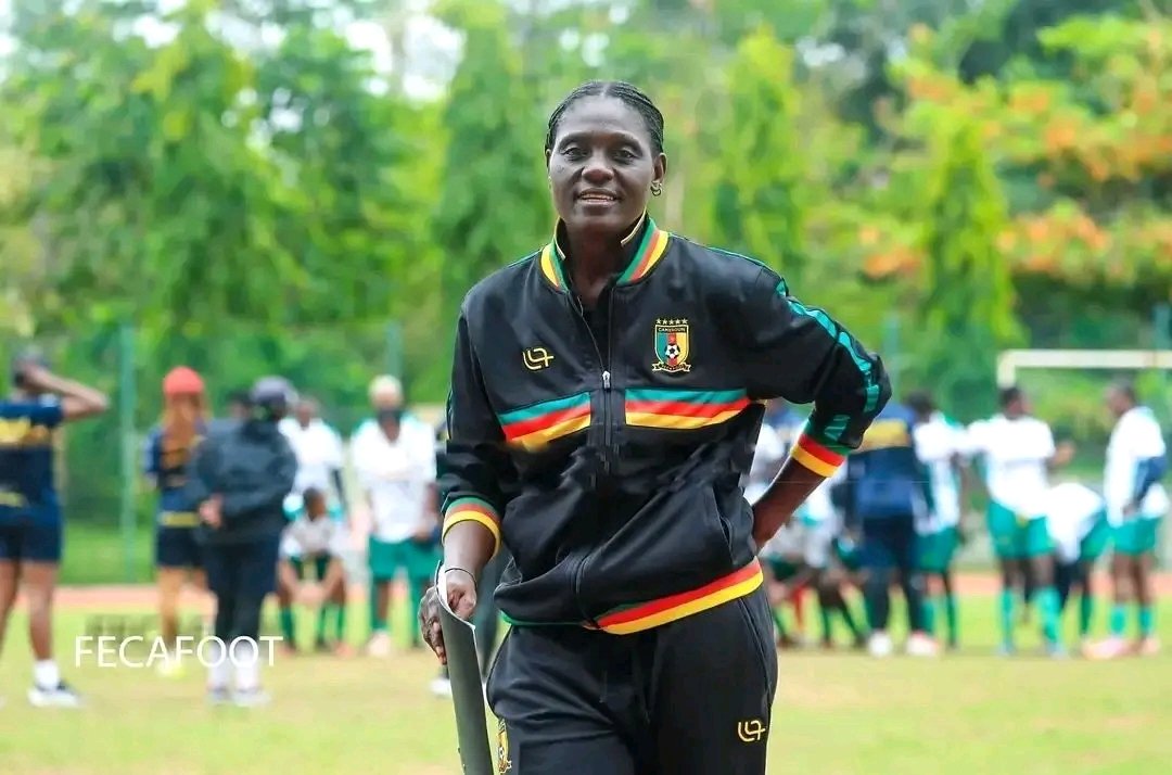 AllezLesLions tweet media