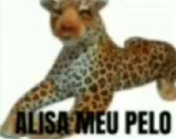 Christo293408's tweet photo. @JamesSt94802316 @MrSlaking_JASS @HORMIGA_RETURNS Justifica https://t.co/uy5rrFFKcG