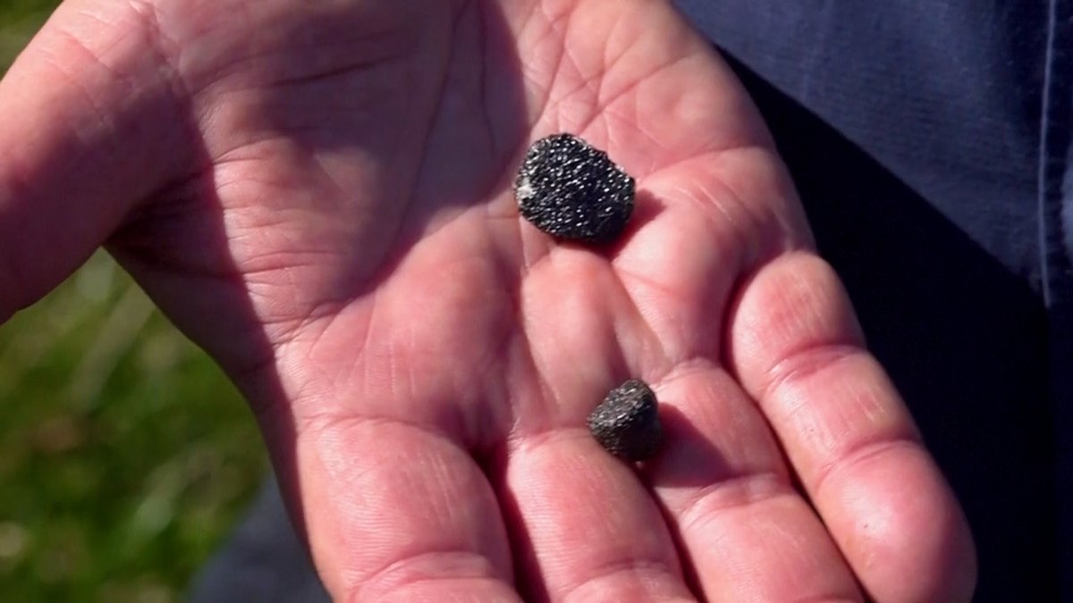 The Weather Channel tweet media