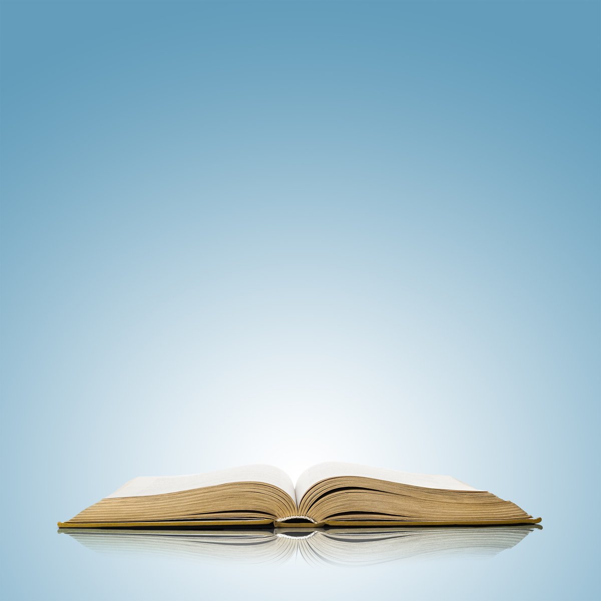 Animes Master tweet media