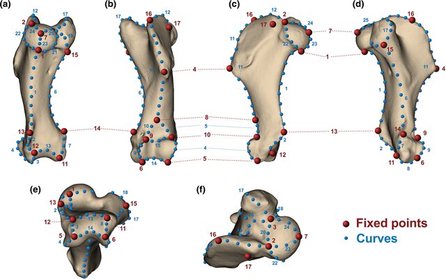 Narimane Chatar tweet media