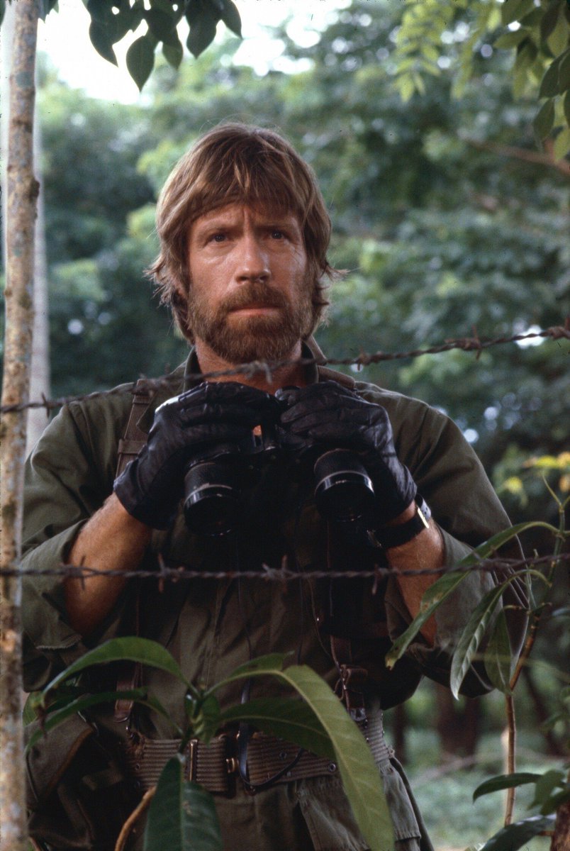 Remnants of the Past tweet media