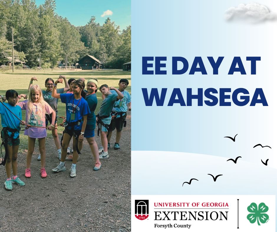 Forsyth County 4-H, Georgia tweet media