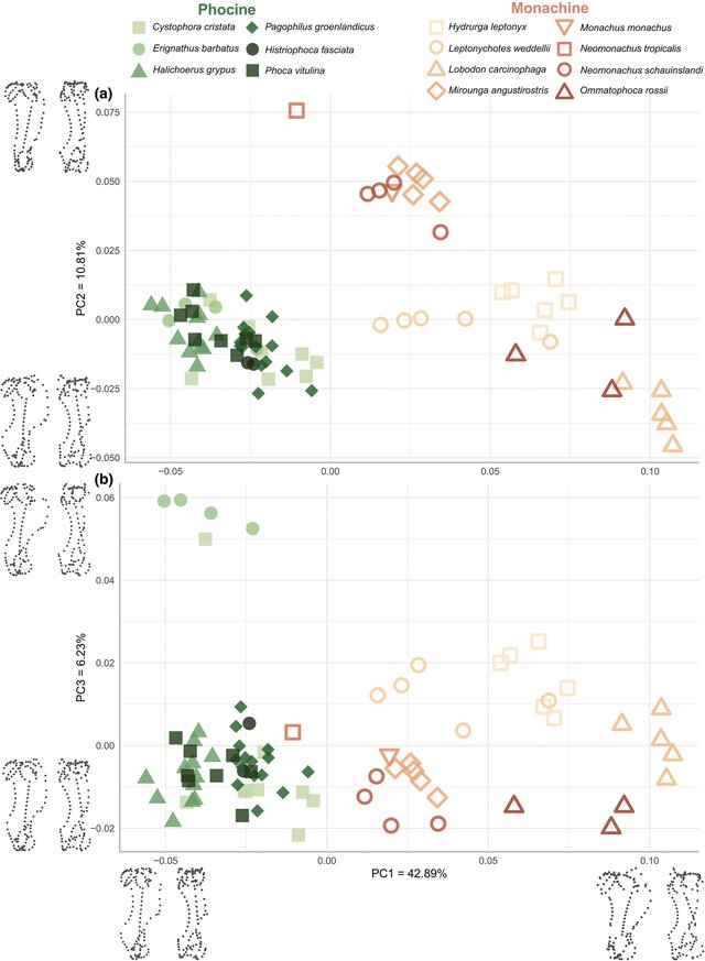 Narimane Chatar tweet media