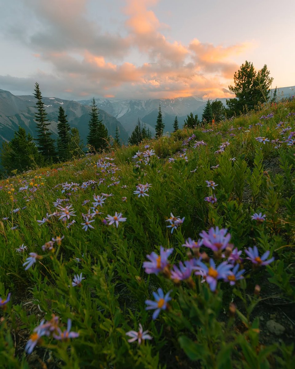 𝘄𝗮𝗻𝗱𝗲𝗿𝘁𝗿𝗮𝘃𝗲𝗹𝘀 tweet media