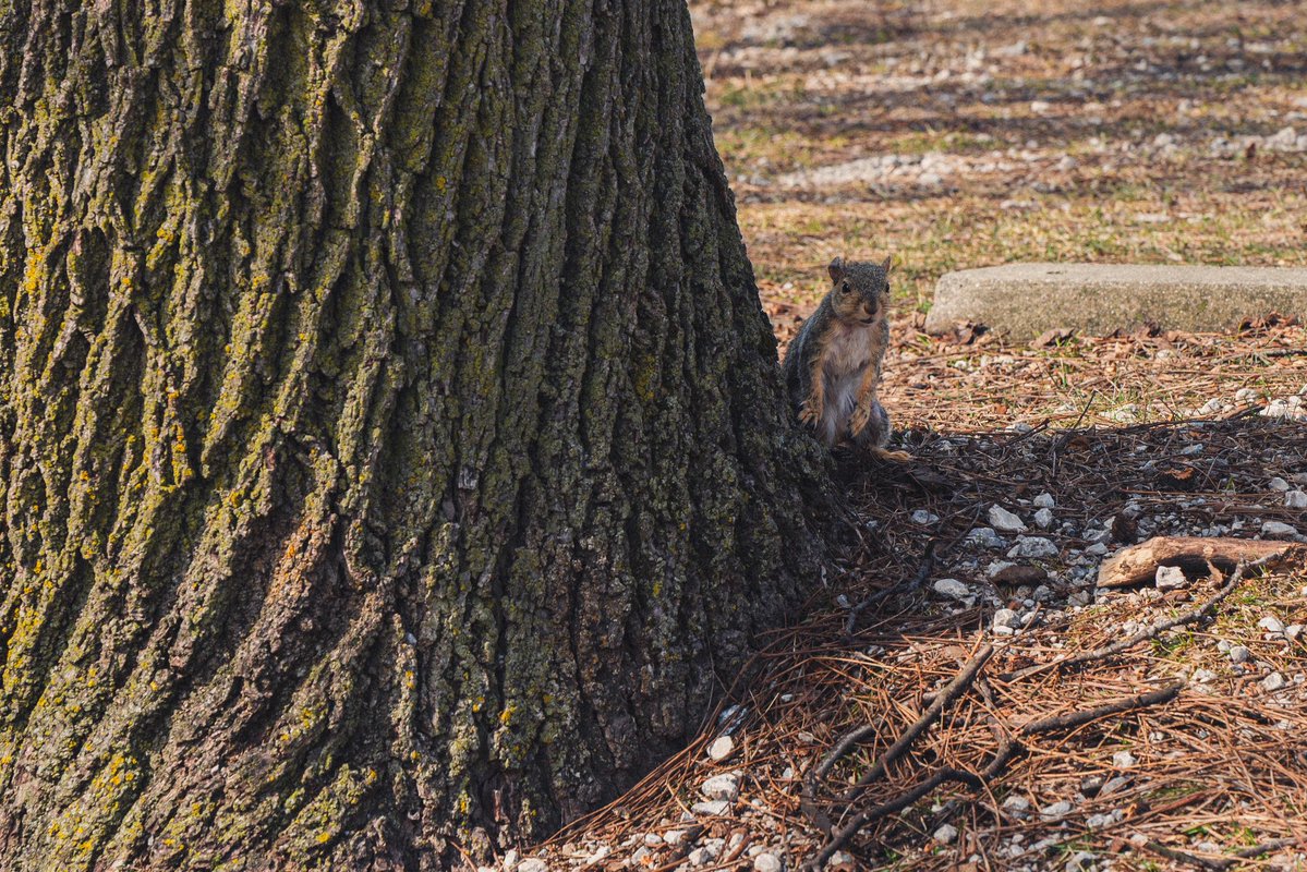 levi 😸 tweet media