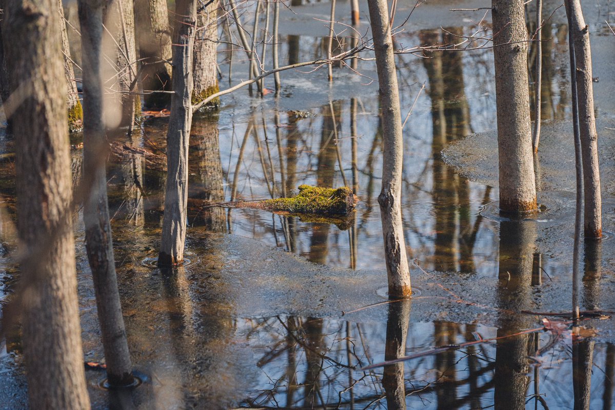 levi 😸 tweet media