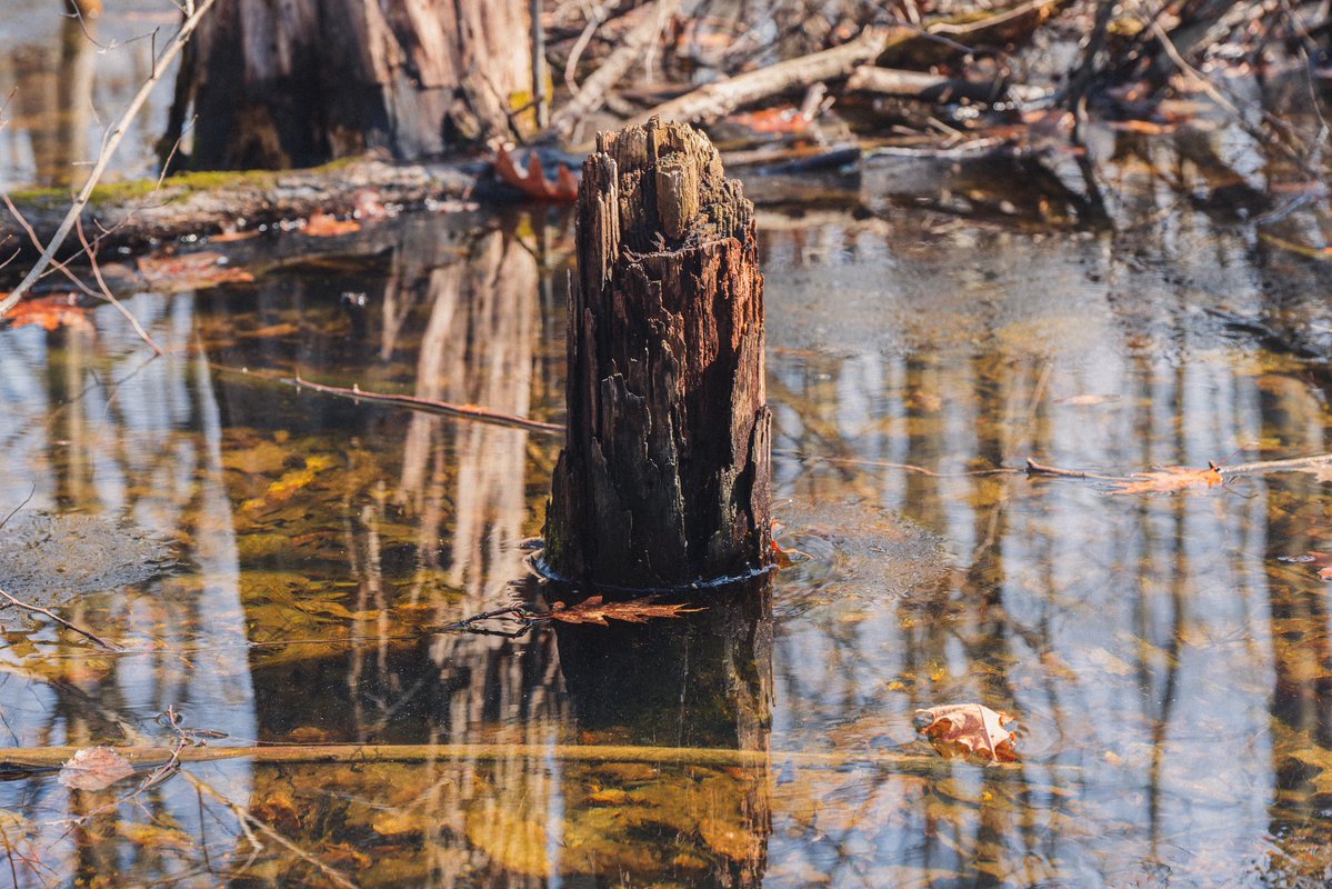 levi 😸 tweet media