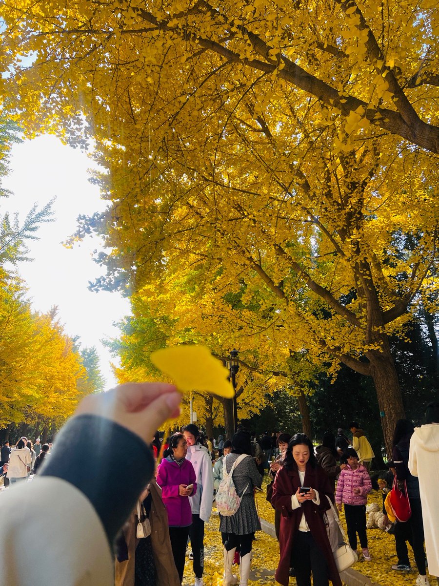 Feda Anis tweet media