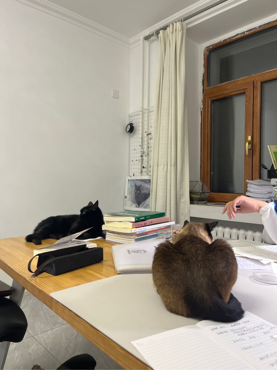 Jens Hackebeil tweet media