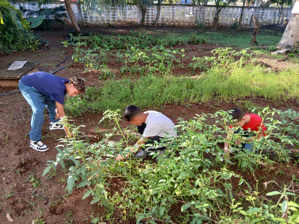 Elieser Gomez tweet media