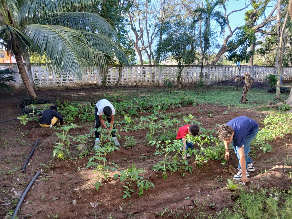 Elieser Gomez tweet media