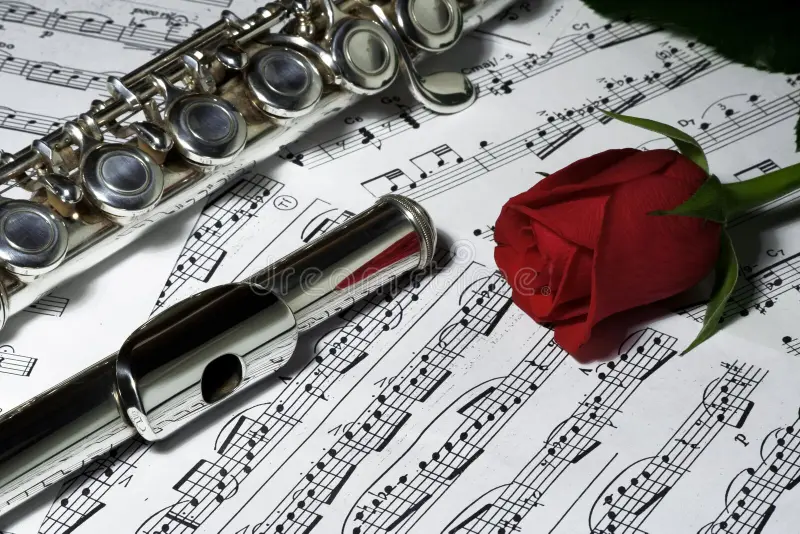 Avan wolf tweet media