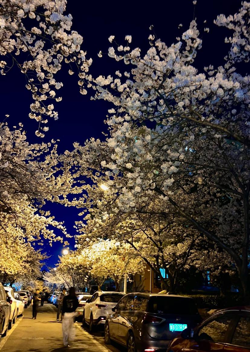 墨轻语 tweet media