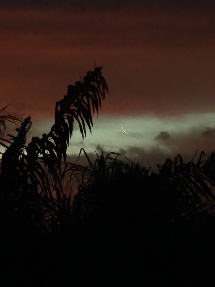 𝕮𝖆𝖒𝖎𝖓𝖔 tweet media