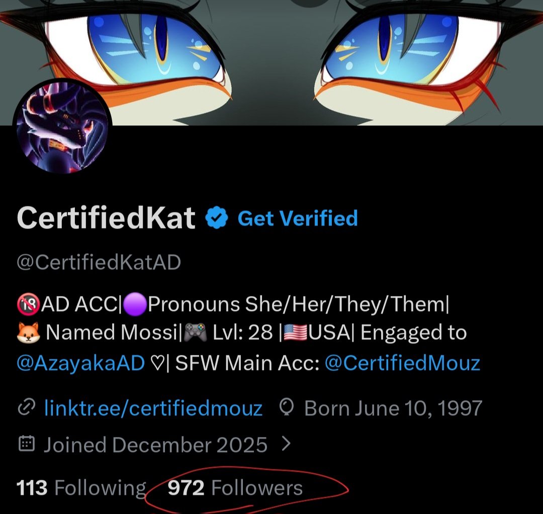 CertifiedKat tweet media