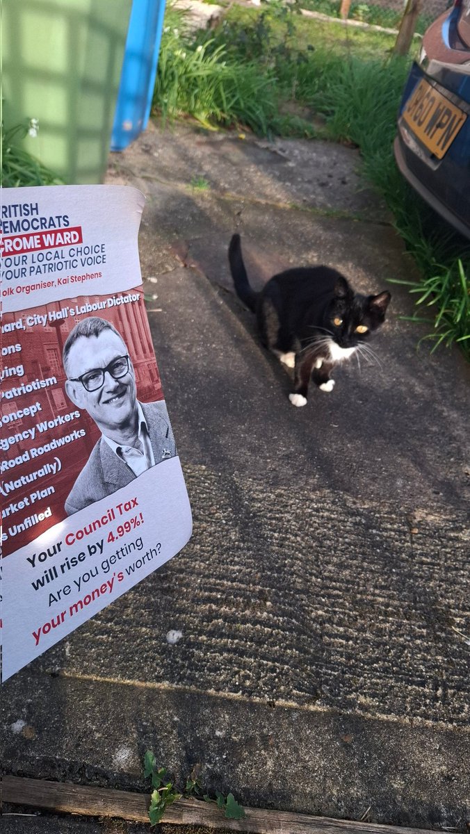 Kai Stephens 🇬🇧 BDP tweet media