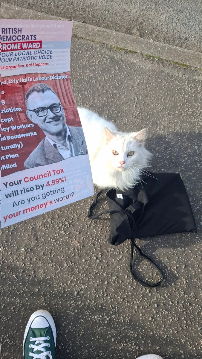 Kai Stephens 🇬🇧 BDP tweet media