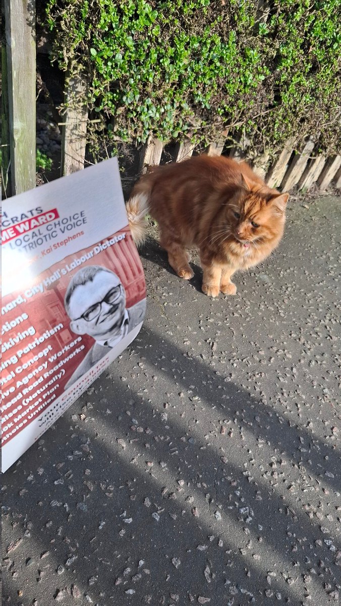 Kai Stephens 🇬🇧 BDP tweet media